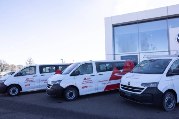 Paint Styling aktuelles ZSSV 3