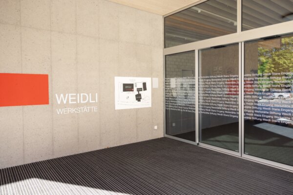 Paint Styling aktuelles Weidl 2 png